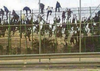 Un grupo de inmigrantes en la valla de Melilla./ Foto: PRODEIN