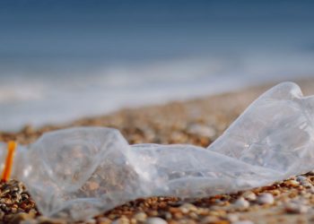 Focusing on circularity can prevent an increase in the use of single-use plastics.