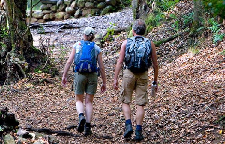 Turistas en el Parque Nacional de Garajonay, en la isla canaria de La Gomera. / Foto: www.spain.info/