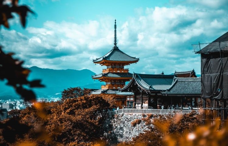 View of Kyoto. / Photo: FCEJ
