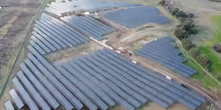 Planta fotovoltaica de Iberdrola en Italia./ Foto: Iberdrola