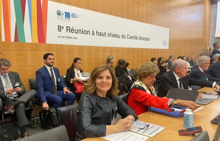 Pilar Cancela durante la reunión. / Foto: AECID