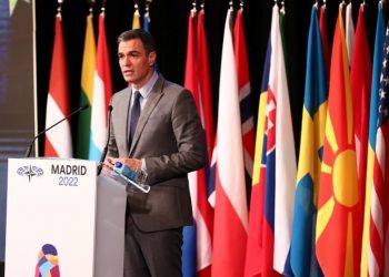 Pedro Sánchez during his speech at the NATO Parliamentary Assembly / Photo: Pool Moncloa / Fernando Calvo