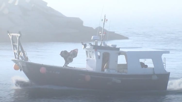 El pesquero 'Mi Daniela'./ Imagen: Onda Algeciras TV